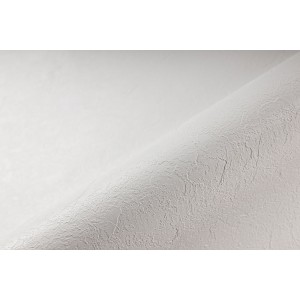 Пленка ПВХ 1,65х25,00м "Alkorplan-Relief", "White", текстурная /81116701
