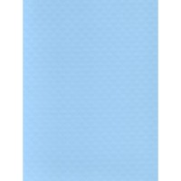 Пленка ПВХ 2,05х25,00м "Alkorplan-Xtreme", "Blue Fresh", голубой